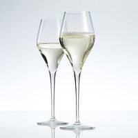 Комплект бокалов для шампанского Schott Zwiesel Finesse 297 мл 6 шт