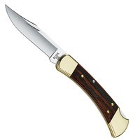 Нож Buck Folding Hunter 110BRSB