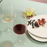 Комплект бокалов для красного вина Schott Zwiesel Fruity and Delicate 535 мл 2 шт